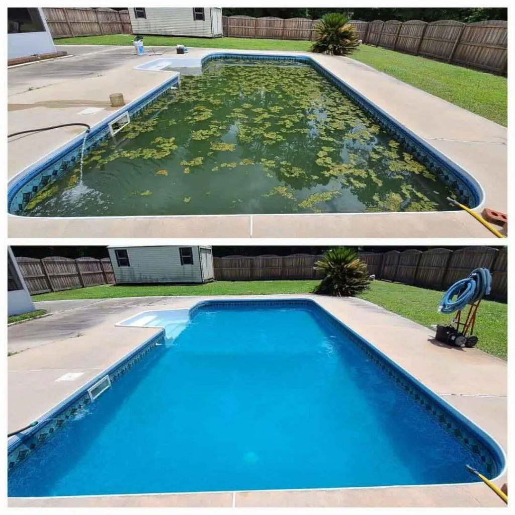 Green Pool Cleanup Guide