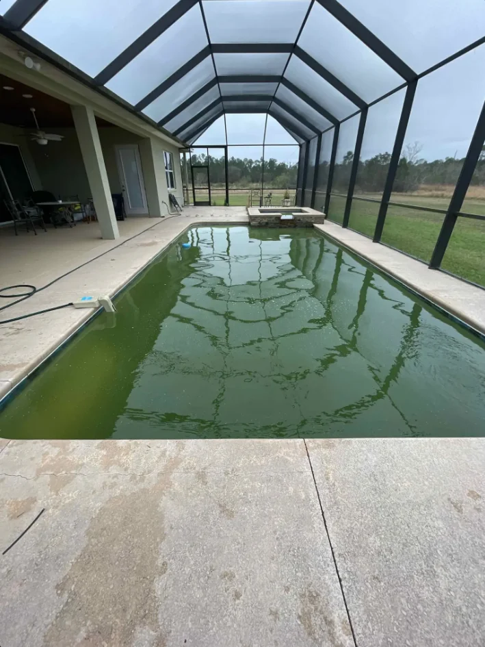 Before Pool Restoration