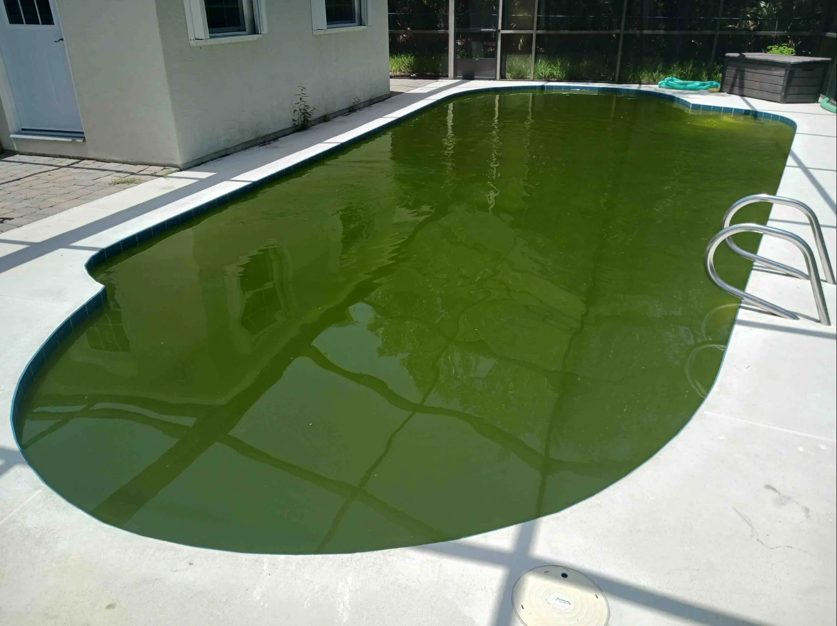 Before Green algae pool cleanup service before and after