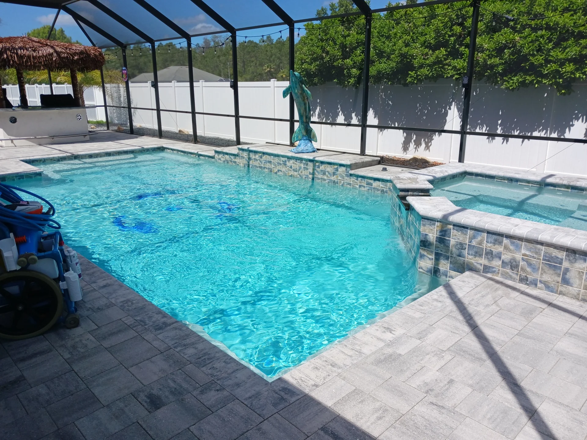 Expert pool chemistry balancing and water testing service