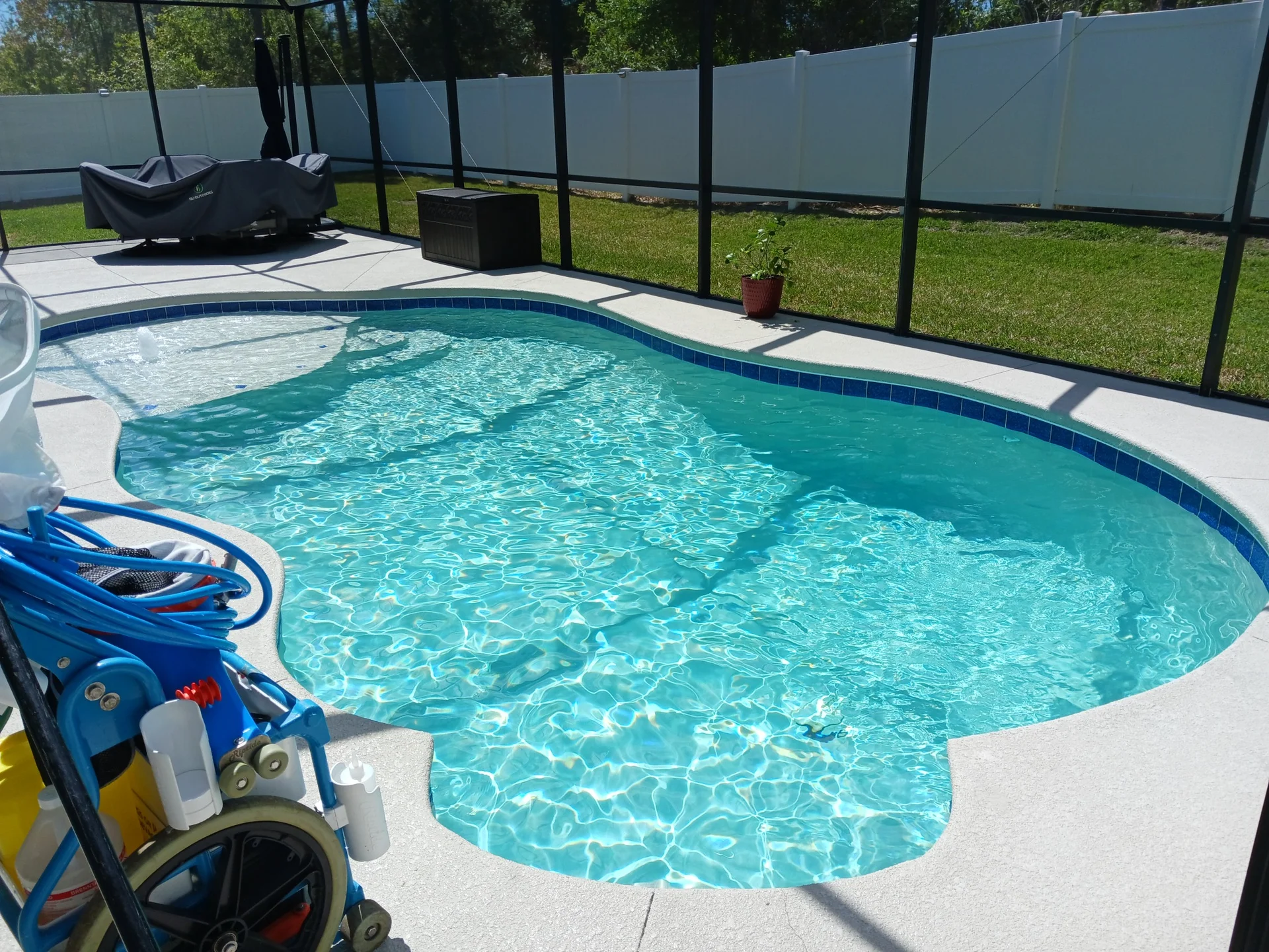 Green to clean pool transformation in Ormond Beach
