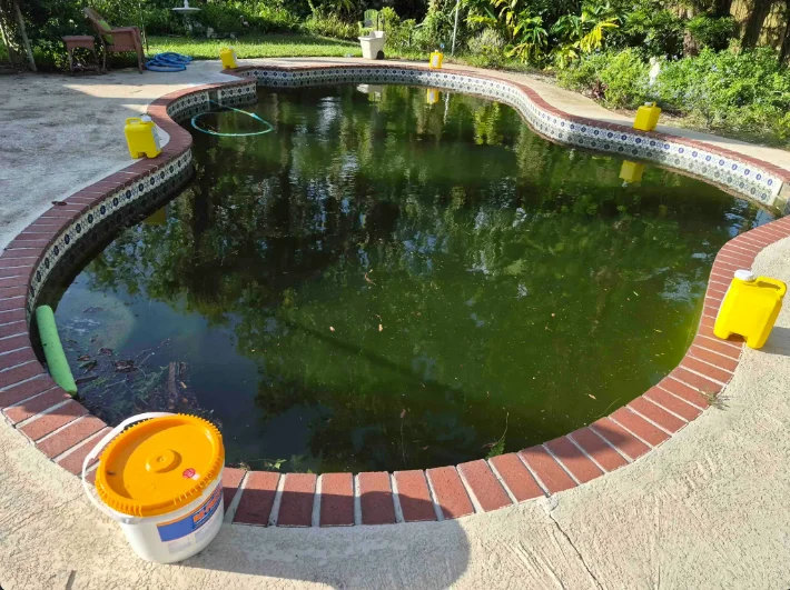 Before Green Pool Cleanup Transformation